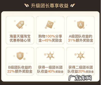 福袋生活合伙人升级团长有哪些权益?怎么升级?