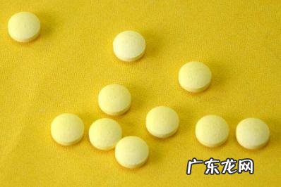 理应如何正确的给狗狗驱虫,你清晰吗?