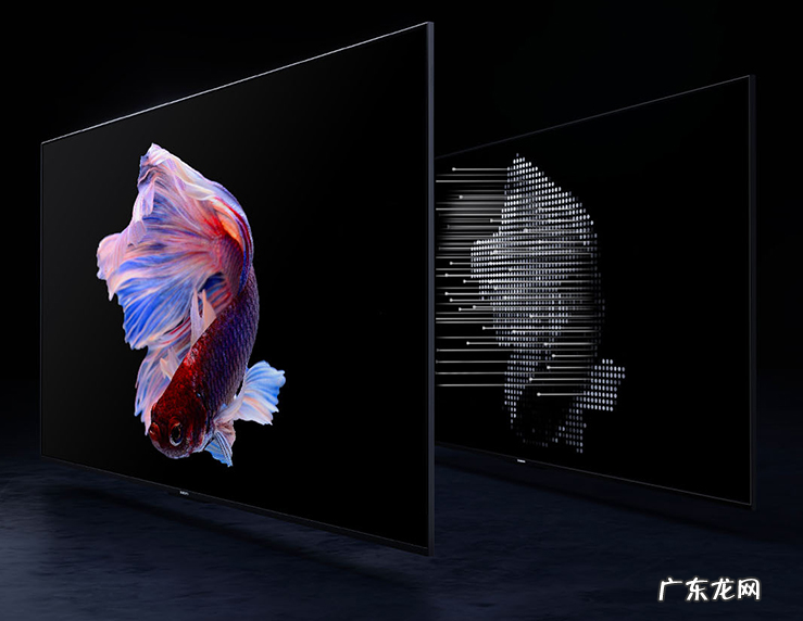 小米电视最近销售火爆,中端机型销量窜新高,该怎么看