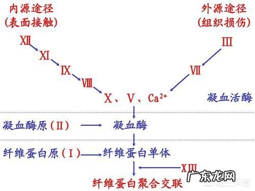 孕期什么情况下需要打肝素?