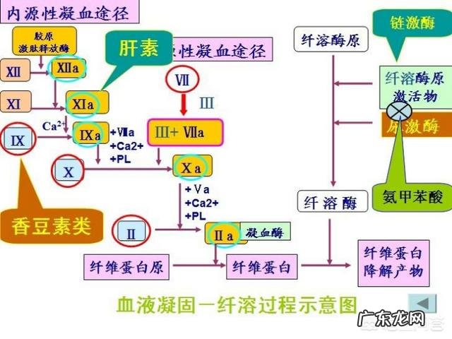 孕期什么情况下需要打肝素?