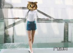 哪些零食可以在减肥期间吃？