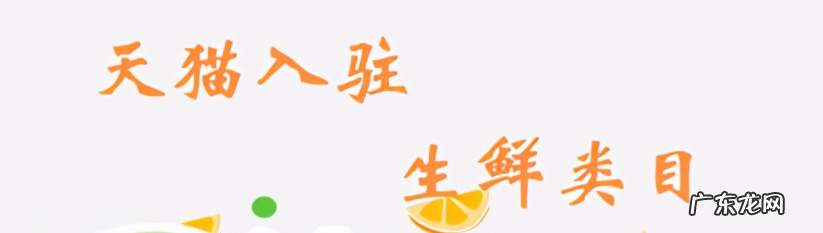 入驻规则及详细攻略 天猫生鲜入驻条件及费用