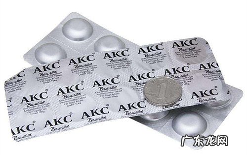 给比熊吃牛肉干吐又拉,比熊吃牛肉干后拉肚子还吐