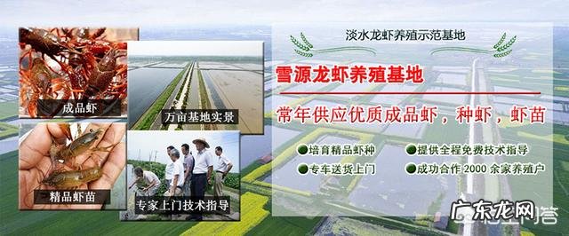 虾池解毒能和培菌培藻一起吗