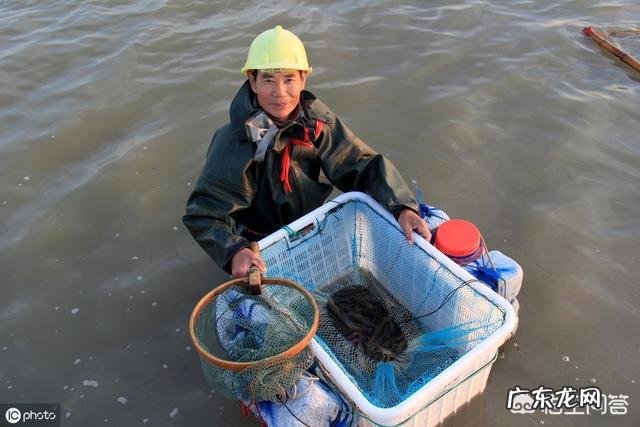 虾池解毒能和培菌培藻一起吗
