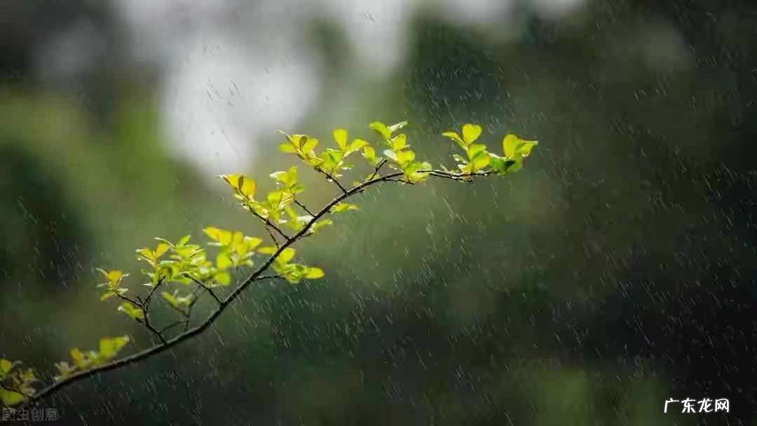 20条运营精华 怎么运营今日头条账号