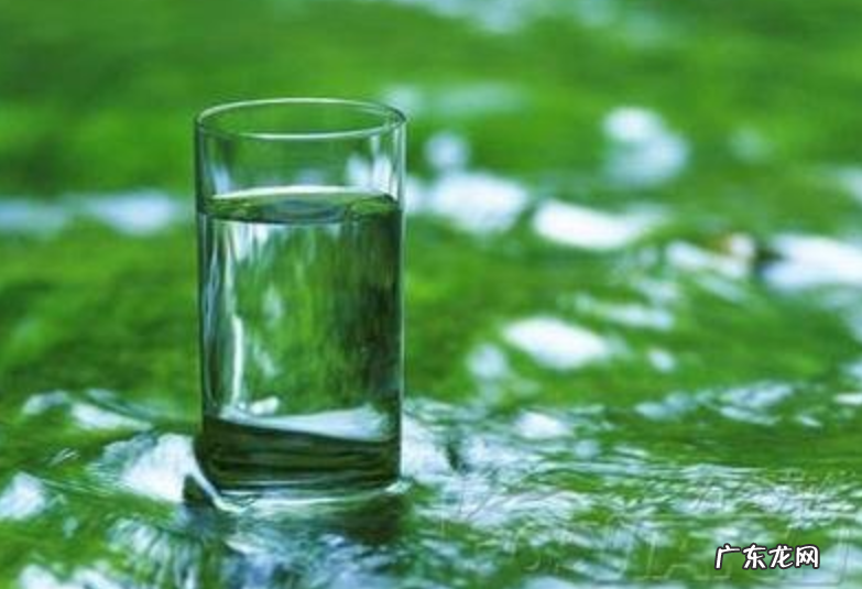 小狗牙龈肿痛症状用什么药有效