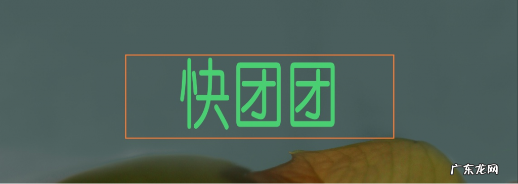 快团团玩法介绍 快团团怎么做团长