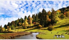 淘宝店铺违规分为哪两种？违规了怎么处理？