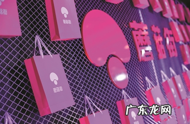 蘑菇街怎么入驻商家?蘑菇街入驻条件与资格