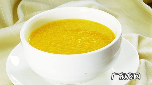 金毛牙龈肿痛怎样治