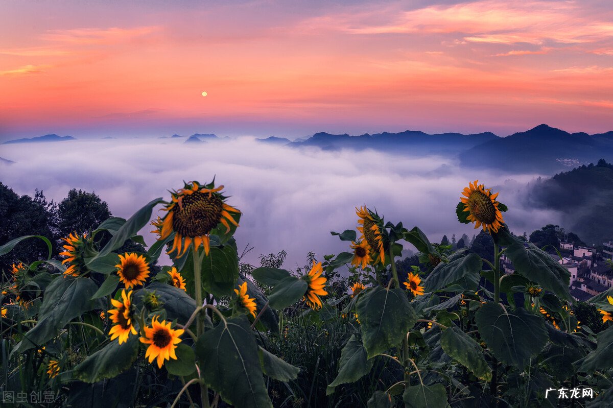 抖音小店营业执照注册的注意事项 营业执照怎么申请