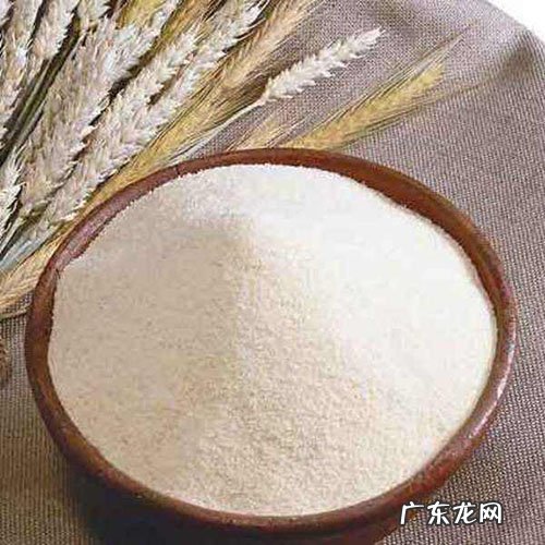 小狗一直滴尿吃什么中药