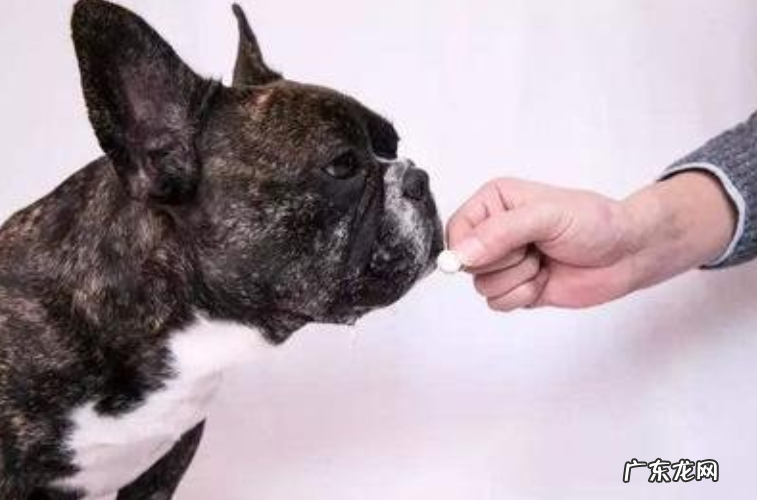 狗狗拉肚子吃蒙脱石散的需求量