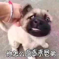 提高推荐量的办法 头条文章推荐量低怎么办