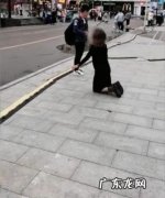 狗向人下跪好吗 人给狗下跪