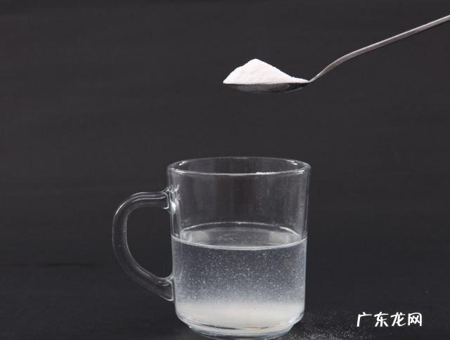 小狗一天没有拉尿