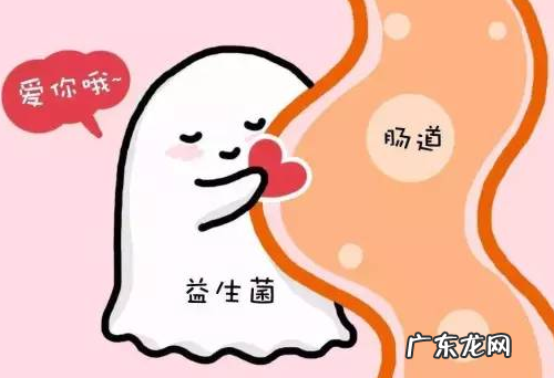 狗拉肚子可以 喝温开水吗