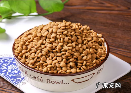 狗拉肚子可以 喝温开水吗