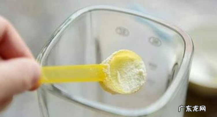 狗狗拉稀怎样调理