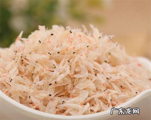 小狗钙的缺失会导致 突然不能行走吗