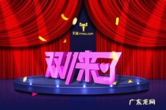2020年淘宝双11预售规则有哪些？淘宝双11预售活动规则详解