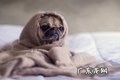 抖音多少浏览量才有钱 抖音变现靠谱吗,短视频变现是骗局吗