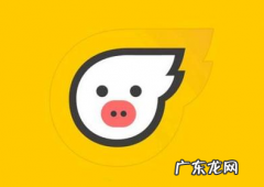 飞猪旅游靠谱吗，飞猪登上“黑榜”