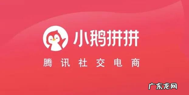 开店申请入驻技巧 小鹅拼拼怎么开店