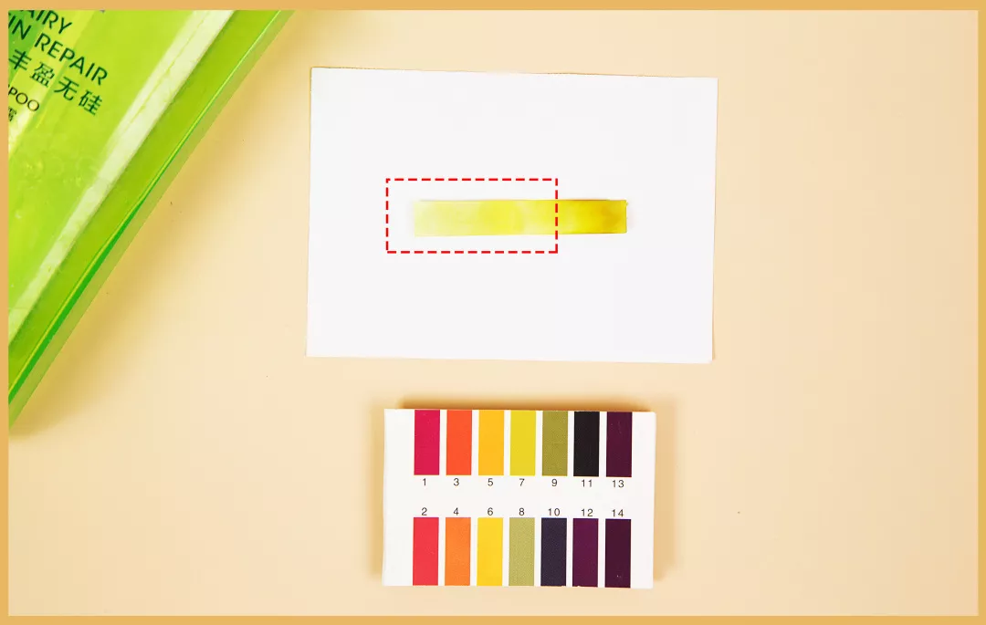 10款性价比超高的洗发水 洗发水哪个好用