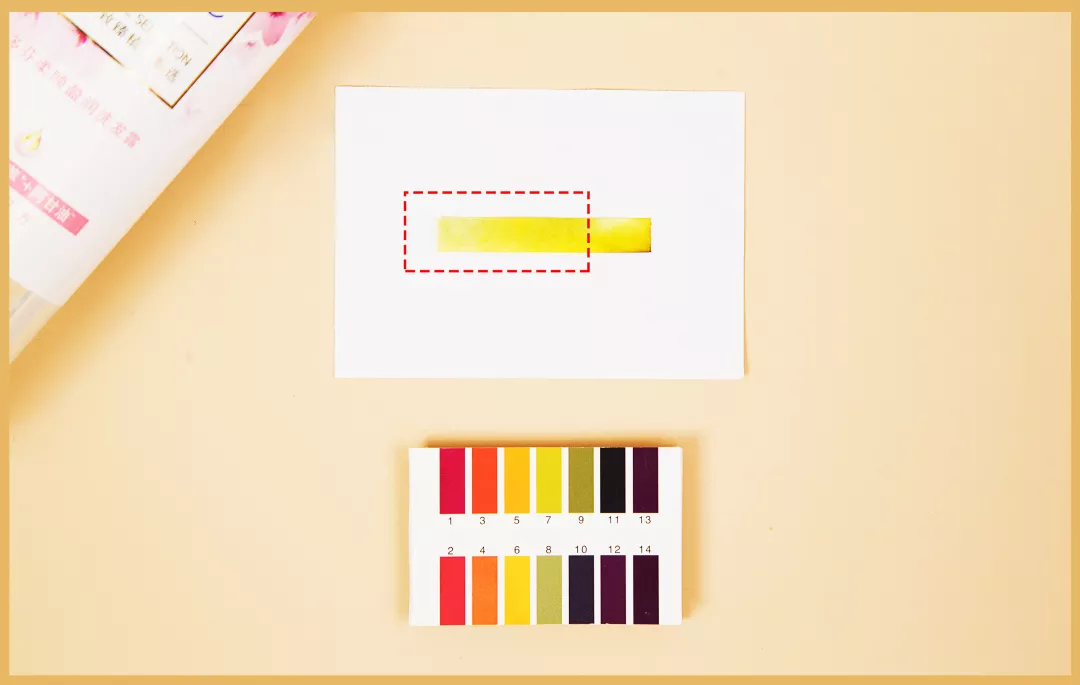 10款性价比超高的洗发水 洗发水哪个好用