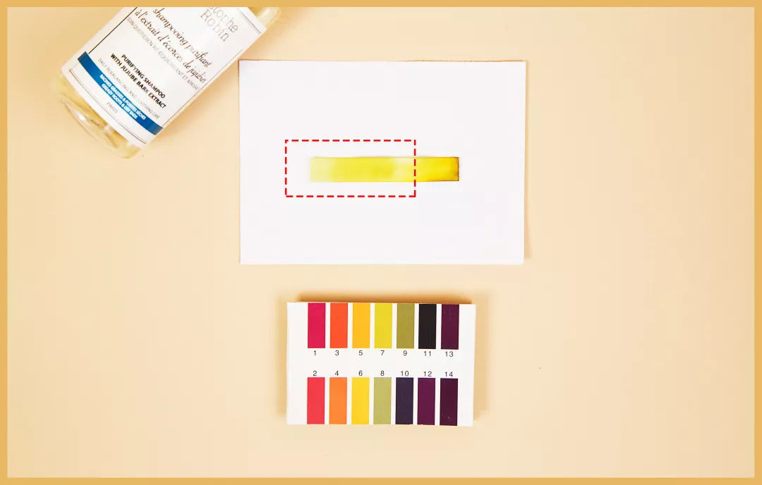 10款性价比超高的洗发水 洗发水哪个好用