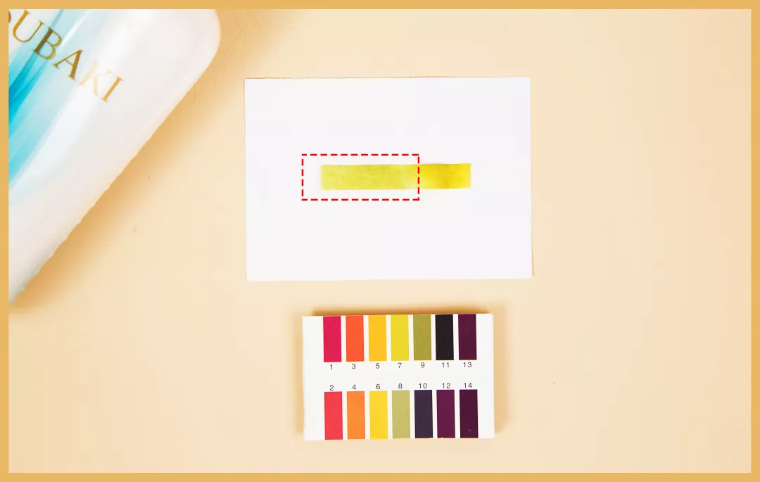 10款性价比超高的洗发水 洗发水哪个好用