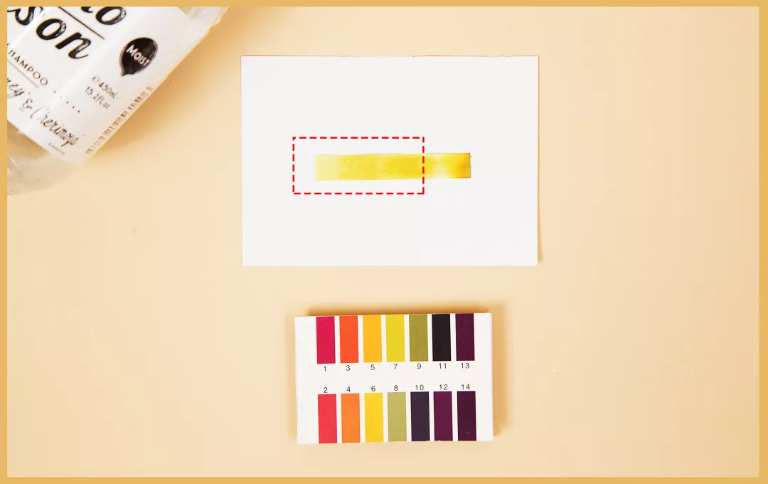 10款性价比超高的洗发水 洗发水哪个好用