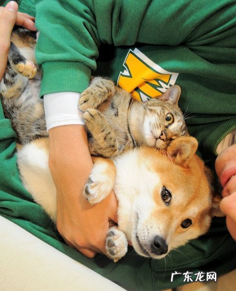 白矾明矾泡脚能减肥:但是白矾加热后含铝，谁来告诉我什么可以代替白矾？