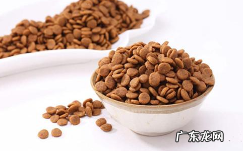 雪纳瑞不进餐拉肚子便便，雪纳瑞不必吃物件就拉肚子