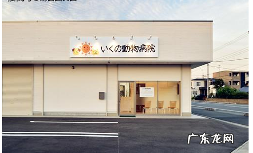 小狗单独吃孕妇钙片拉肚子,小狗吃孕妇钙片会拉肚子是什么原因