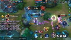 吃鸡反野是什么意思 反野是什么意思