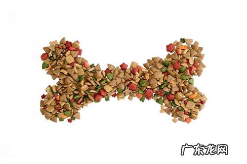 怎样给狗滴耳药,狗耳药水怎样操作步骤