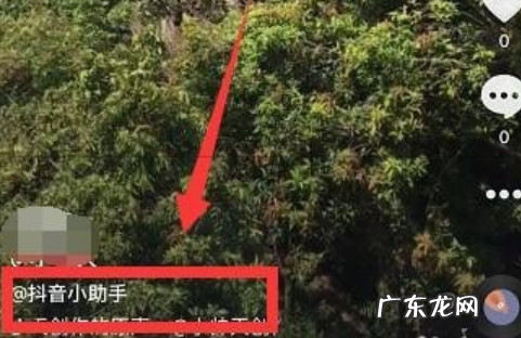 抖音小助手有什么作用?怎么使用?