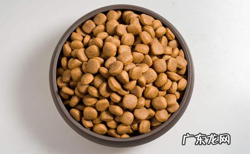 松狮眼泪怎样去掉，如何给松狮消除眼泪