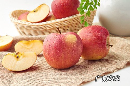 【养动物经验分享】十五年的狗流鼻涕是发烧感冒吗