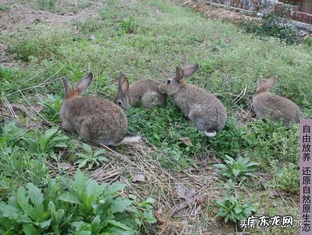 不做手术,脂肪型脸大怎么瘦