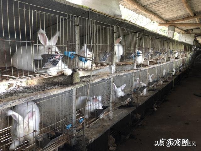 不做手术,脂肪型脸大怎么瘦