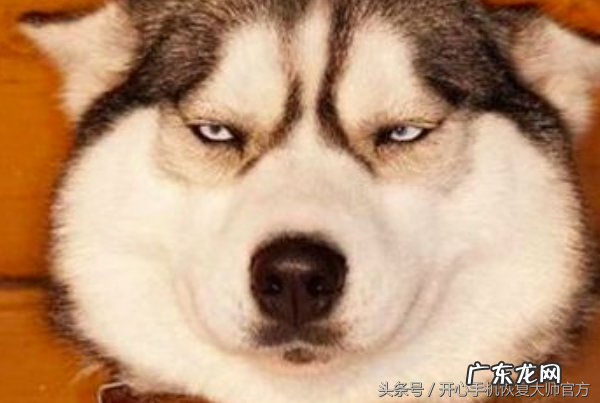 为什么看不到好友的朋友圈?是什么原因?