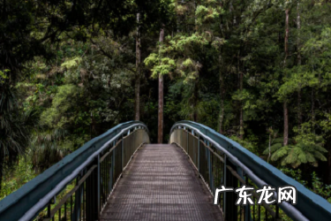 抖音小店上传食品需要商标吗 抖音小店商标注册证必须要吗,抖音小店个体户需要商标吗