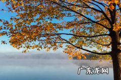 抖音商标可以随便用 抖音小店商标注册证没有怎么办,抖音小店没有商标怎么办