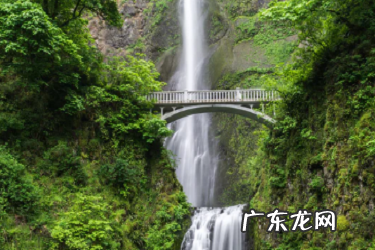 抖音怎么不让指定人看 抖音普通店能否升级专营店,谁看过我的抖音怎么查