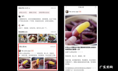 拼多多商品评价里面的行家使用心得是什么